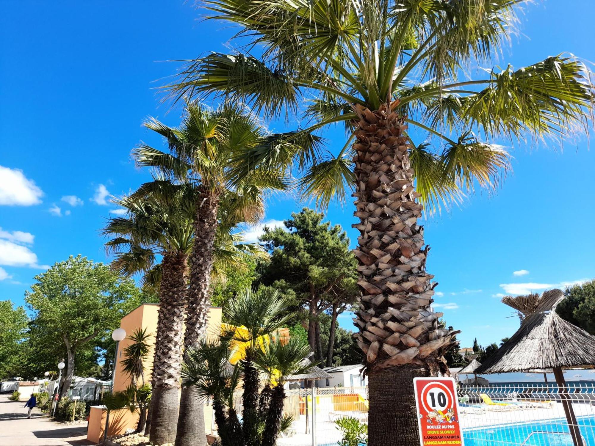 Camping Les Jardins D'Agathe - Maeva Le Grau-d'Agde ภายนอก รูปภาพ